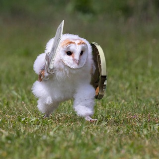 АВИТО БИЗНЕС ИДЕИ С НУЛЯ