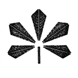 КИЇВ НІЧНИЙ