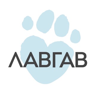 ШКОЛА ЛАВГАВ | ВСЁ О ПСЁ