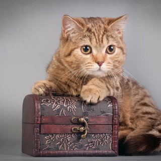 ВЯЗАНИЕ. СПИЦЫ. КРЮЧОК. СУНДУЧОК СО СХЕМАМИ.