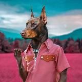 DOBERMANN2030