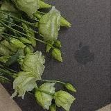 ПОЛЕЗНОЕ ОТ TANY_VIS