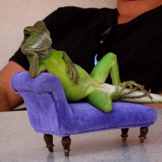 RUSSIAN WORLD VISION