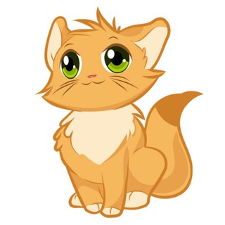 ВИДЕО ЖИВОТНЫЕ