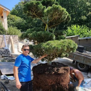 РУЛОННЫЙ ГАЗОН СОЧИ КРАСНОДАРСКИЙ КРАЙАВТОПОЛИВ ЛАНДШАФТНЫЙ ДИЗАЙН