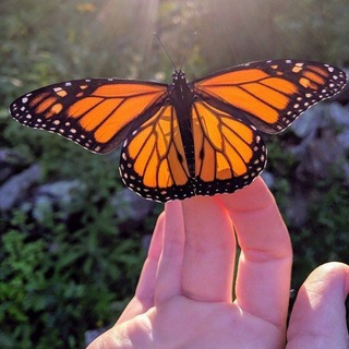 ПЛАНЕТА СЧАСТЬЯ SUPER JUMP