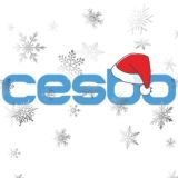 CESBO_RU