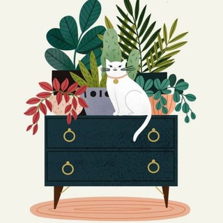 ЗЕЛЕНЫЙ УГОЛОК