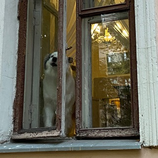 ДОМ ТЕЛЕШОВА