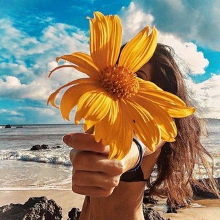 ГОТОВЫЕ СТОРИС МАКЕТЫ