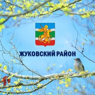 АДМИНИСТРАЦИЯ ЖУКОВСКОГО РАЙОНА