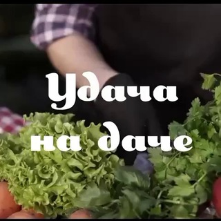 УДАЧА НА ДАЧЕ