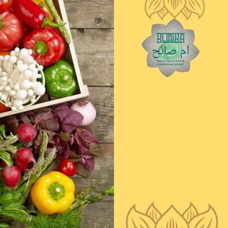 ПП -РЕЦЕПТЫ