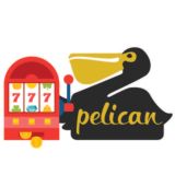 PELICAN PARTNERS | OFFICIAL CHANNEL