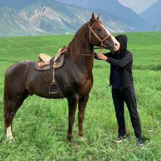 МОБИЛОГРАФ 0709725292