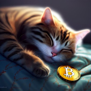 ЧАТ «БЕЗ НЕРВОВ» - КОПИТРЕЙДИНГ