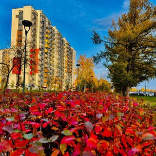 ДОЛГОПРУДНАЯ АЛЛЕЯ️ ️