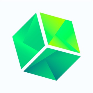 CRYPTOADVISOR INVESTMENT GROUP