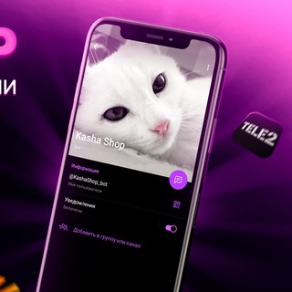 НОВОСТИ @KASHASHOP_BOT