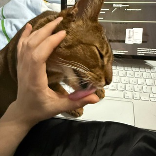 ПРОСТИ МЕНЯ, МОЯ ЛЮБОВЬ