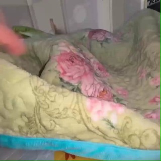 РЕСТ [] — НАРКОТЕКИ ЖИЖА|ЭДРИКА