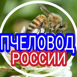 ПЧЕЛОВОД РФ (РУССКОЕ ОБЩЕСТВО ПЧЕЛОВОДСТВА (РОП)), ПАСЕКА; BEEKEEPING) КАНАЛ: МЕДОЛОВ