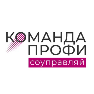 КОМАНДА ПРОФИ | СОУПРАВЛЯЙ