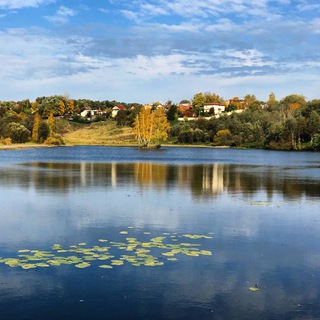 СПАСЕМ СИНИЧКУ