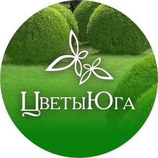 ЦВЕТЫ ЮГА