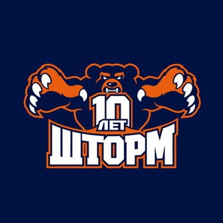 ШКОЛА ЕДИНОБОРСТВ «ШТОРМ»