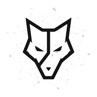 MM VENTURES INSIGHTS