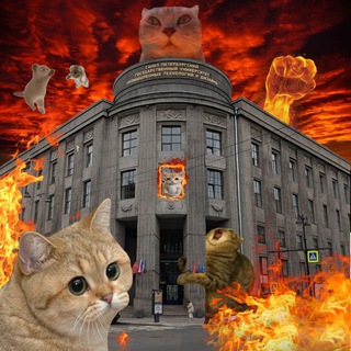 ЦИТАТЫ СПБГУПТД