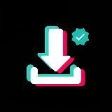 TIKTOK DOWNLOADER SAVE