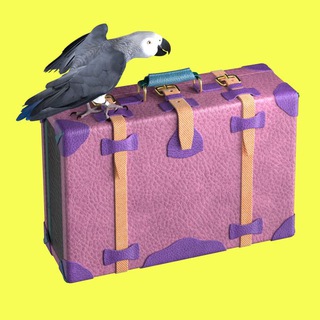 Т—Ж ЧЕМОДАН