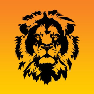 MT - МОТИВАЦИЯ ДЛЯ ТЕБЯ