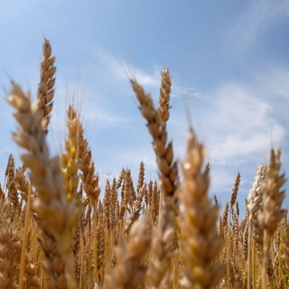 БЕЖЕНСТВО ФИНЛЯНДИЯ