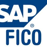 SAP FI/CO/FSCM