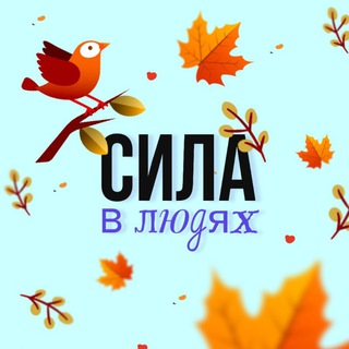 МОЛОДЕЖЬ ЛЕНОБЛАСТИ