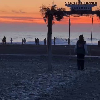 СЕРГЕЙ МАТВЕЕВ ДИРЕКТОР АДЛЕРА