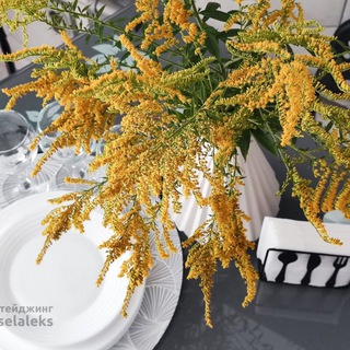 ФОТОСТЕЙДЖИНГ НЕДВИЖИМОСТИ