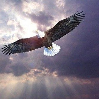 МУЗЫКА В РИТМЕ КАЙФА