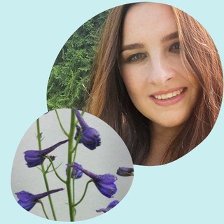 СᴀДЫ И ЦʙᴇᴛНИᴋИ