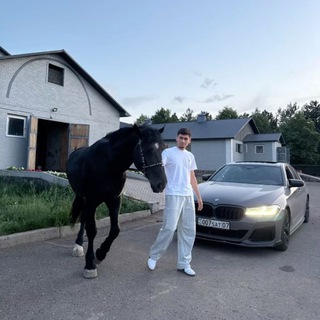 АЗАРТНЫЙ АЛИК