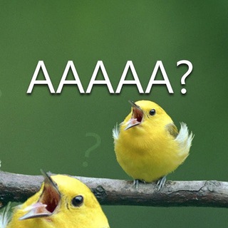 BIRD WATCHING WORKS BOTH WAYS