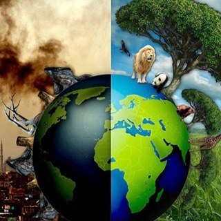 ПОИСК РАЗУМА