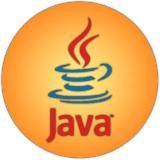 JAVA GEEK