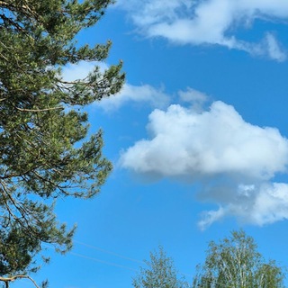 А ЧТО У НАС СЕГОДНЯ? 