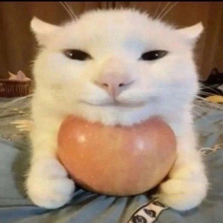 REDMI 7A | COMMUNITY