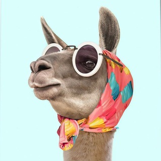 ЖЕНСКИЙ СТИЛЬ | ОДЕЖДА