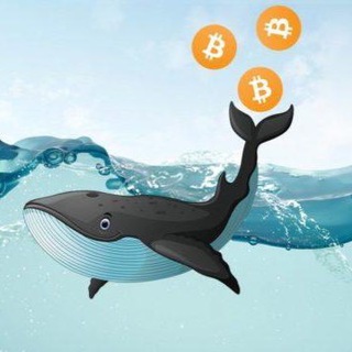 CRYPTO WHALE | ПРОВОДНИК В МИРЕ КРИПТЫ